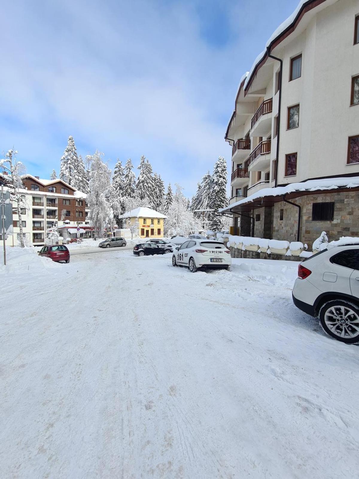 Forest Apartment/ Villa Park Boroveț Exterior foto