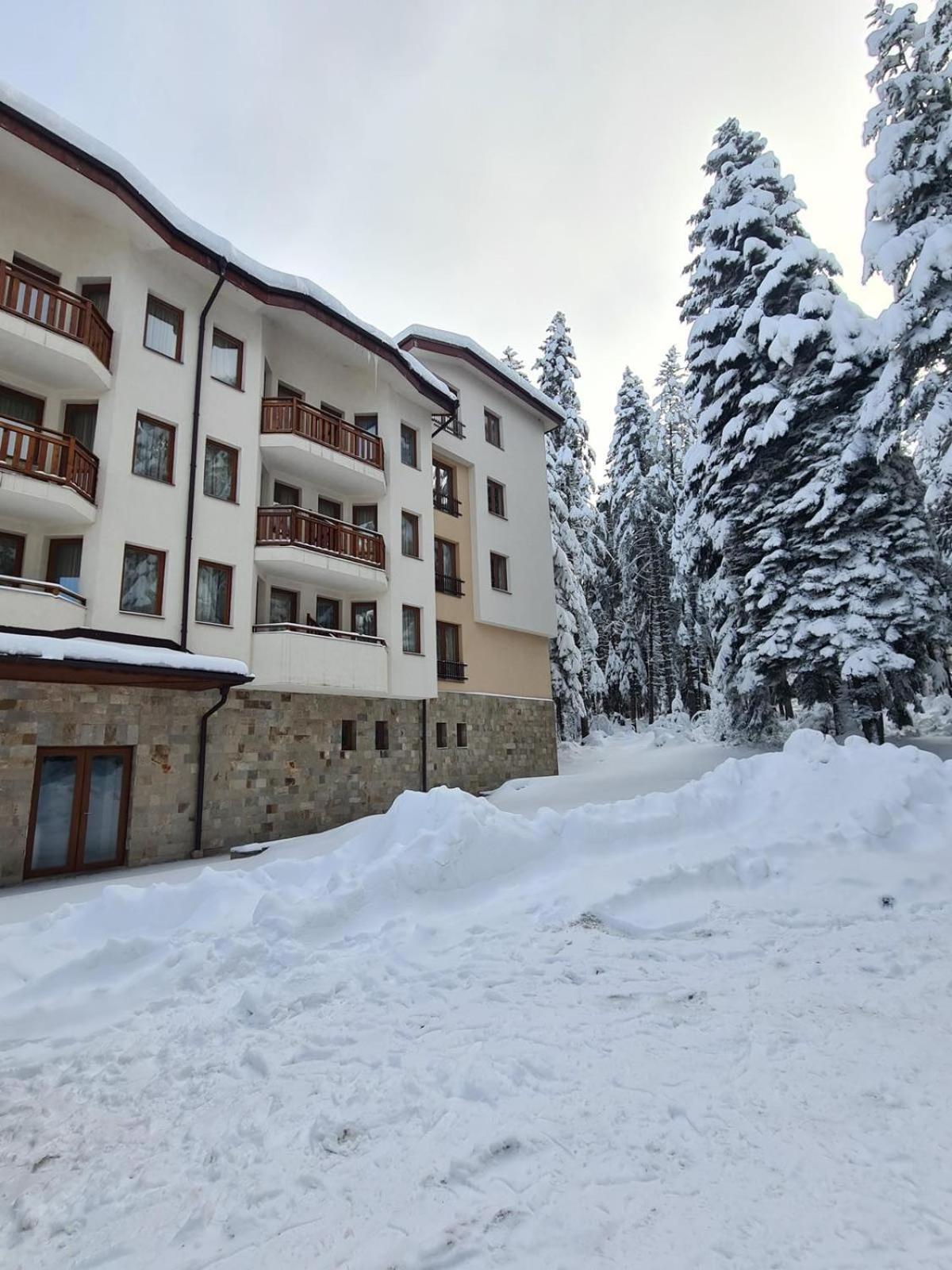 Forest Apartment/ Villa Park Boroveț Exterior foto